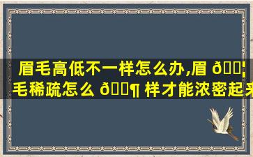 眉毛高低不一样怎么办,眉 🐦 毛稀疏怎么 🐶 样才能浓密起来